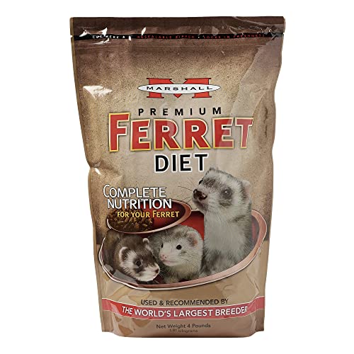 Best Ferret Food For Weight Gain
