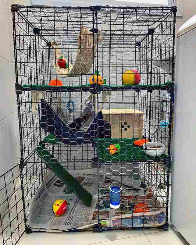 Best homemade ferret cage ideas