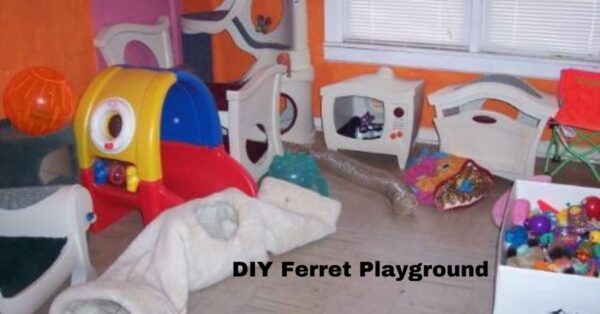 DIY ferret playground