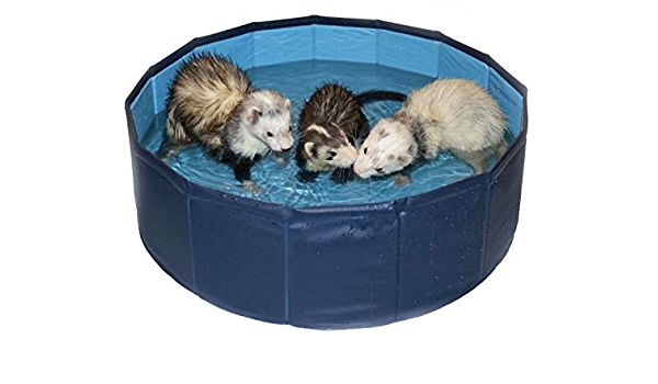 DIY ferret playground ideas