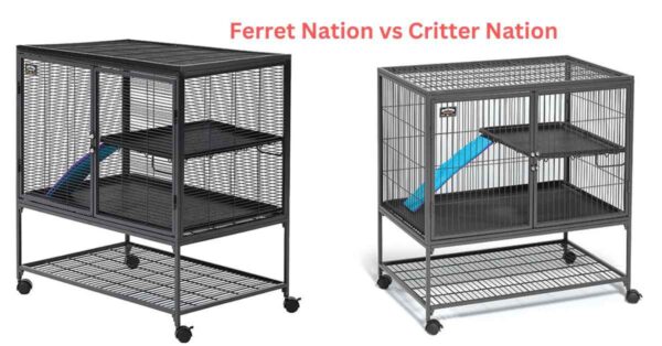Ferret Nation vs Critter Nation