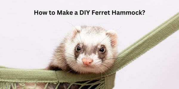 DIY Ferret Hammock