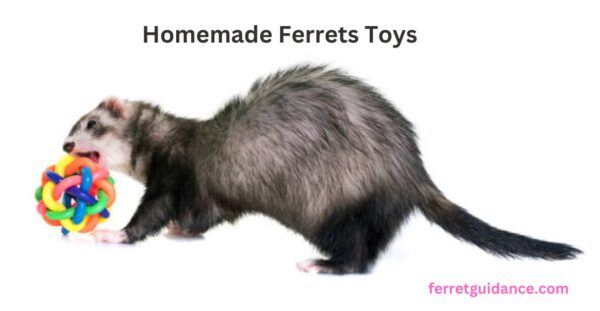 homemade ferret toys