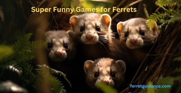 games for ferrets