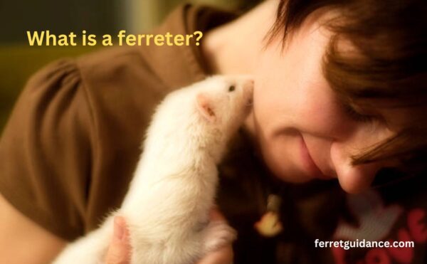 what is a ferreter