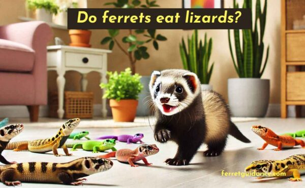 do ferrets eat lizards?